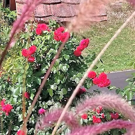 Panzió Gmiatliche Stubm 3*