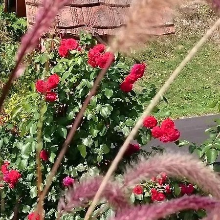 B&B Gmiatliche Stubm