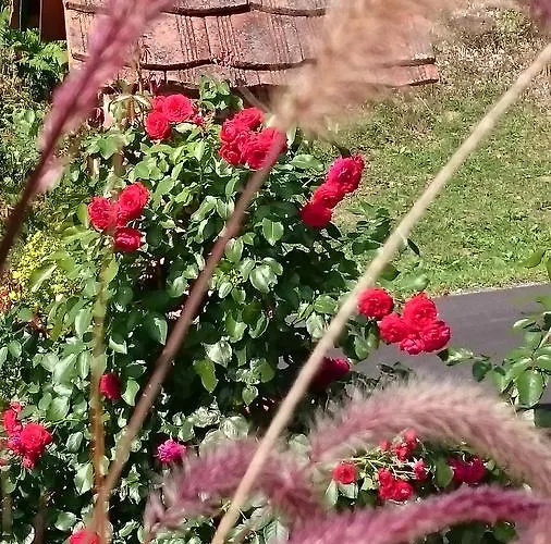 Bed & Breakfast Gmiatliche Stubm